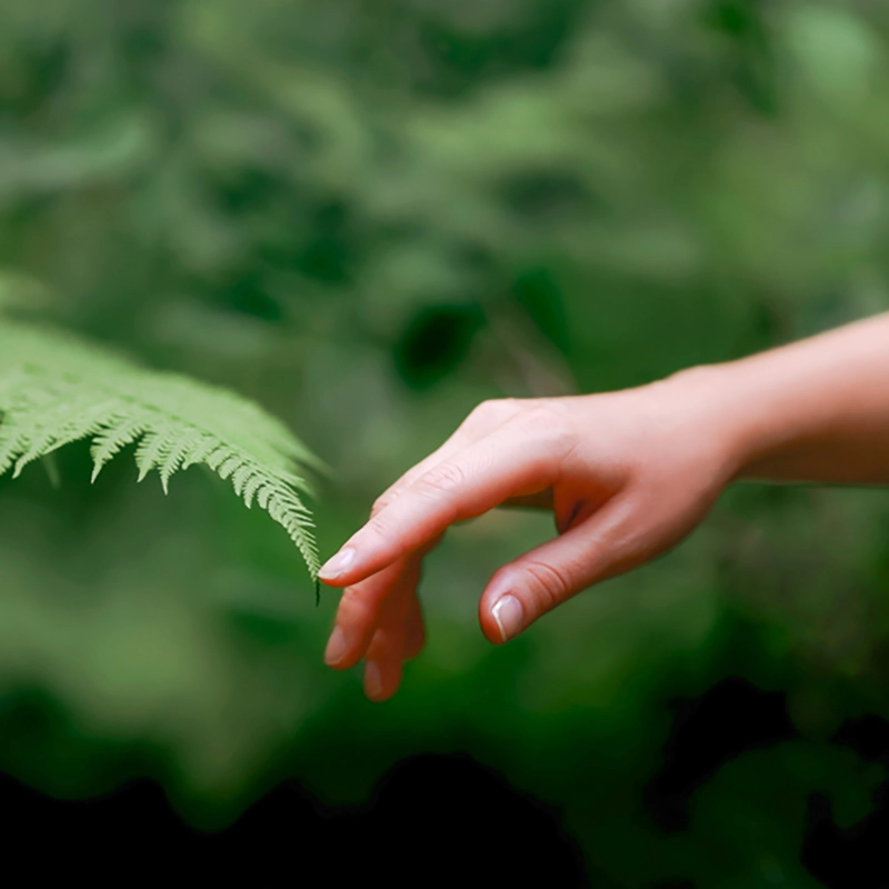 Nachhaltigkeit und Ressourcenschonung bei Zentiva